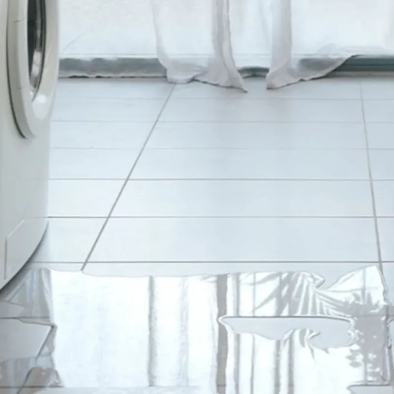 Appliance Leak Cleanup in Cashton, WI