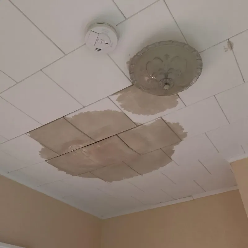 Ceiling Water Damage Repair in Cashton, WI