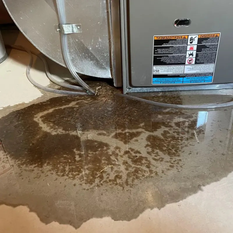 Pipe Burst and Leak Restoration in Cashton, WI