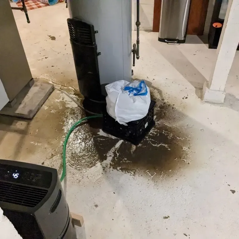 Sewage Backup Cleanup Service in Cashton, WI